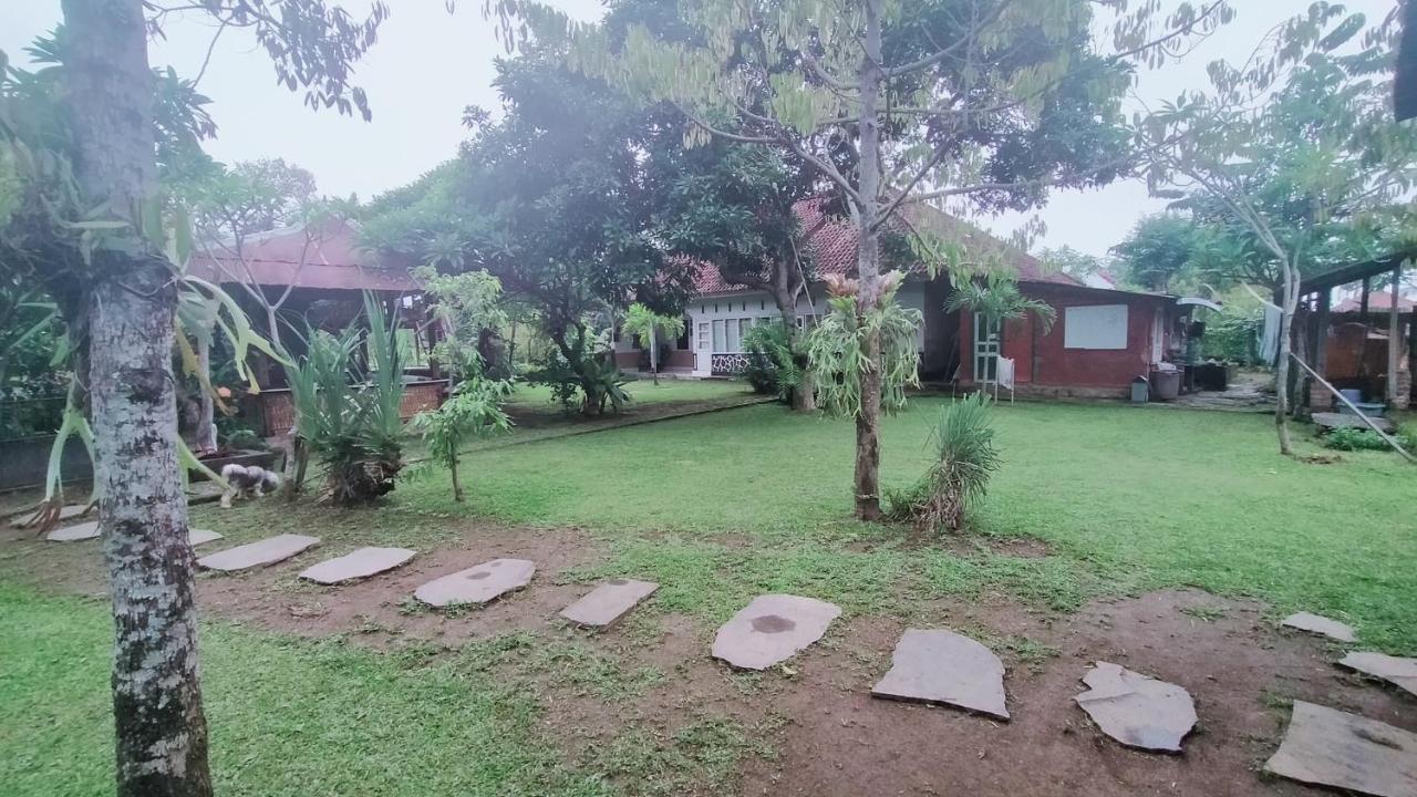 Esa Di Kubu Homestay Singaraja Exterior foto