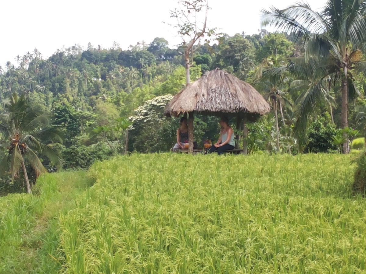 Esa Di Kubu Homestay Singaraja Exterior foto